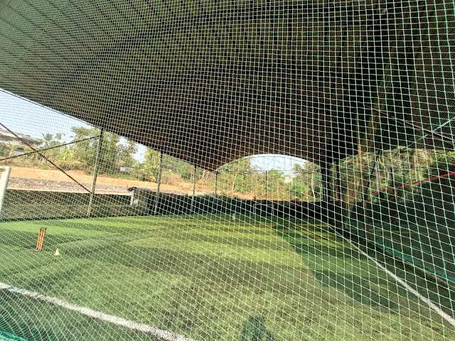 Turf photo 3