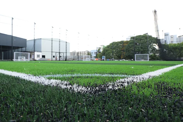 Turf photo 4