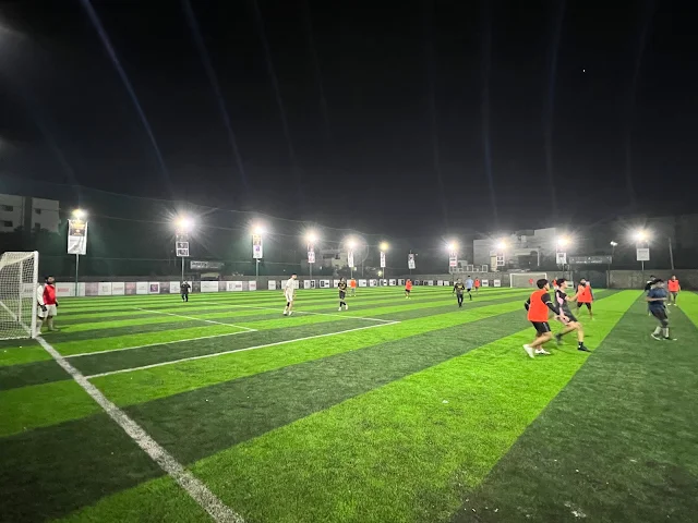 Turf photo 3