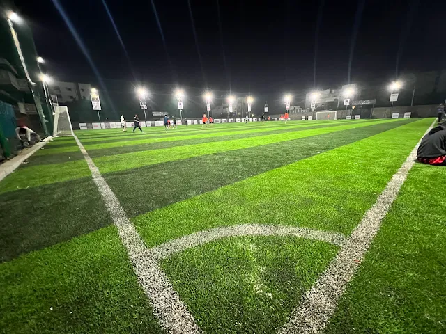 Turf photo 5