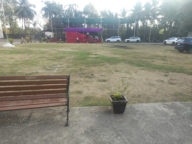 Turf photo 2