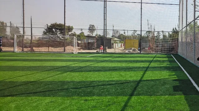 Turf main photo