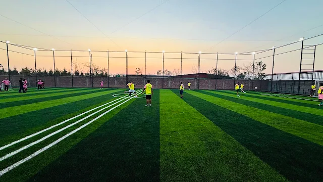 Turf photo 2
