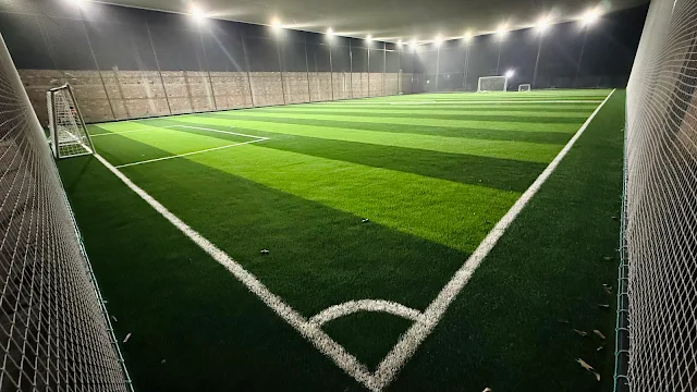 Turf photo 6
