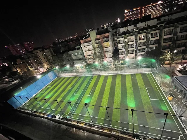 Turf photo 4