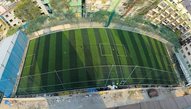 Turf photo 5