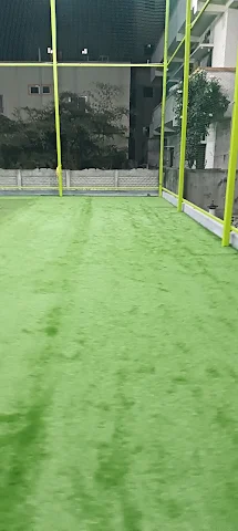 Turf photo 2