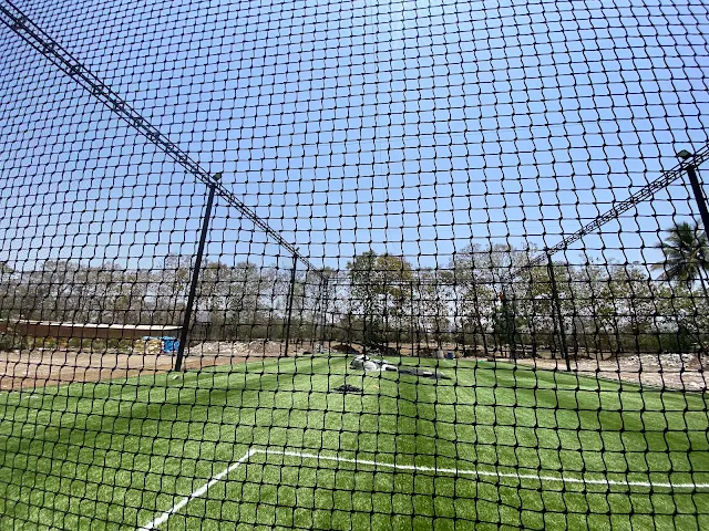 Turf photo 10