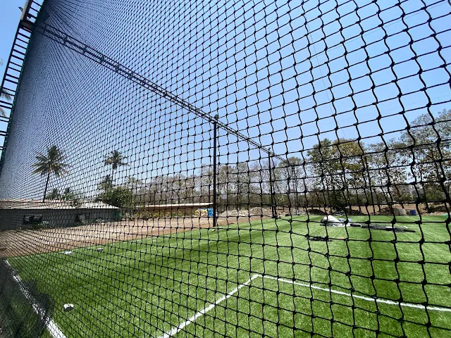Turf photo 2