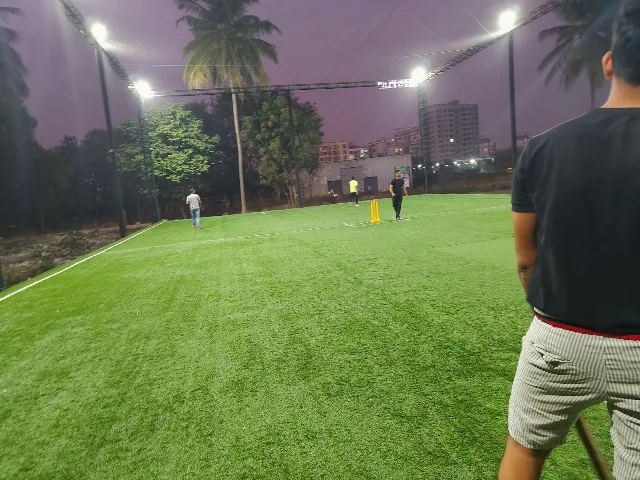 Turf photo 3