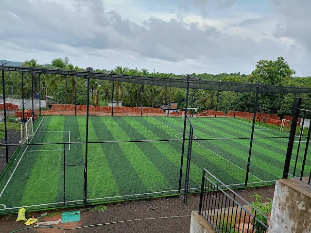 Turf main photo