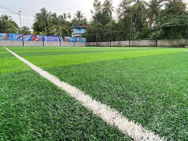 Turf photo 2