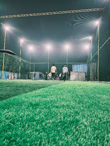 Turf photo 4