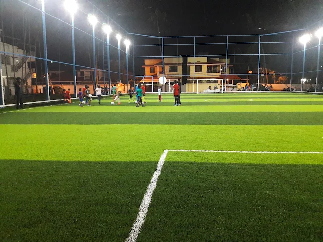 Turf photo 2