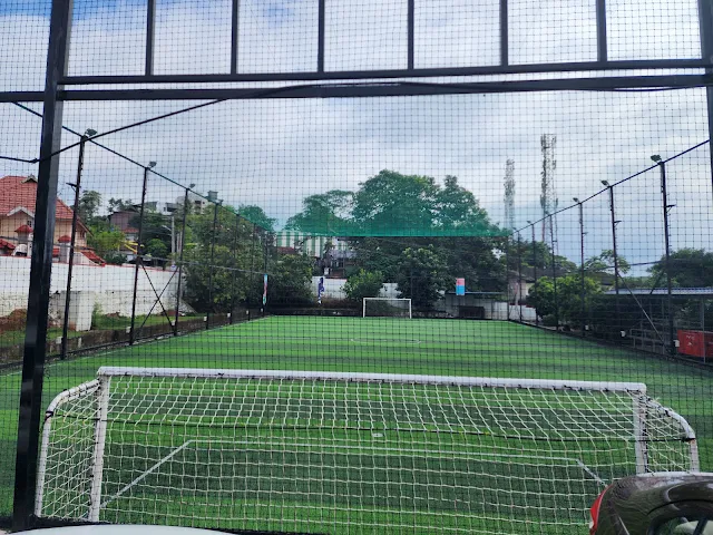 Turf photo 3