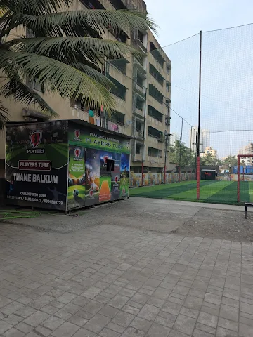 Turf photo 2