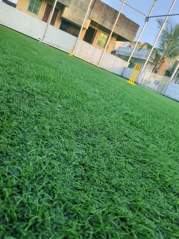 Turf photo 4