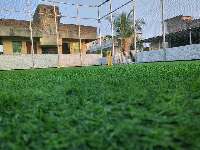 Turf photo 3