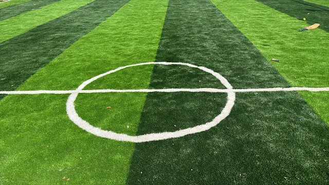 Turf photo 5