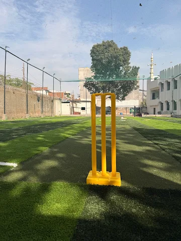 Turf photo 2