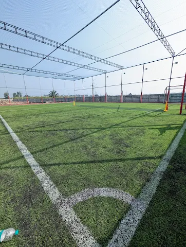 Turf photo 3