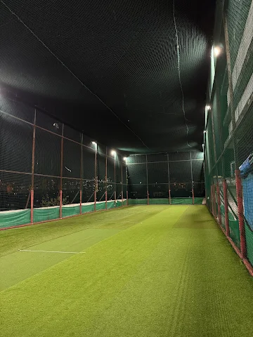 Turf photo 3