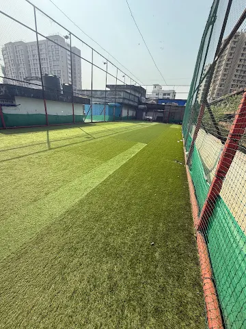 Turf photo 12