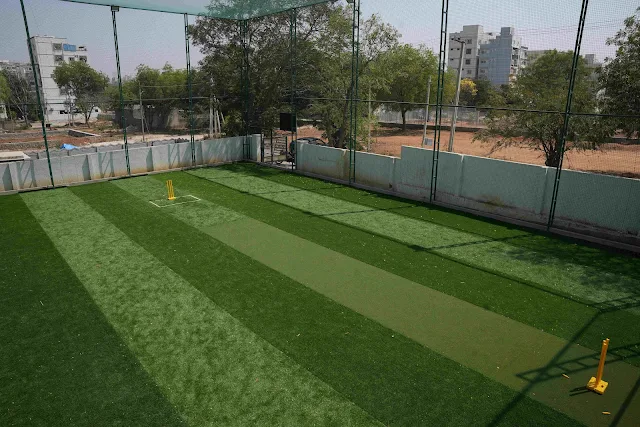 Turf photo 2