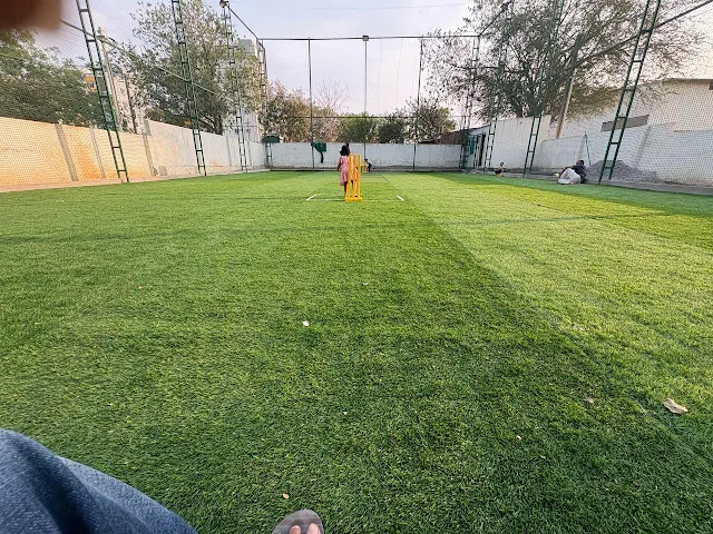 Turf main photo