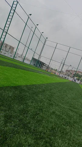 Turf photo 8