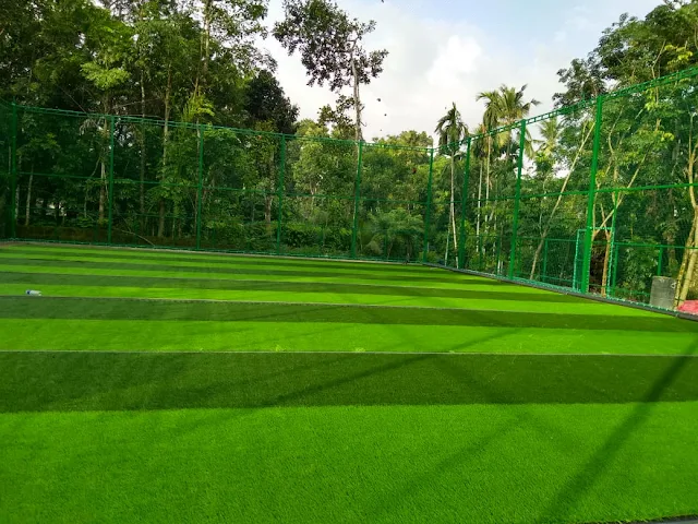 Turf photo 6