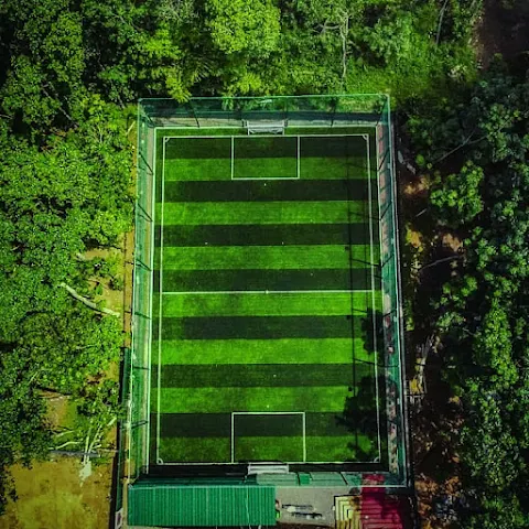 Turf photo 2