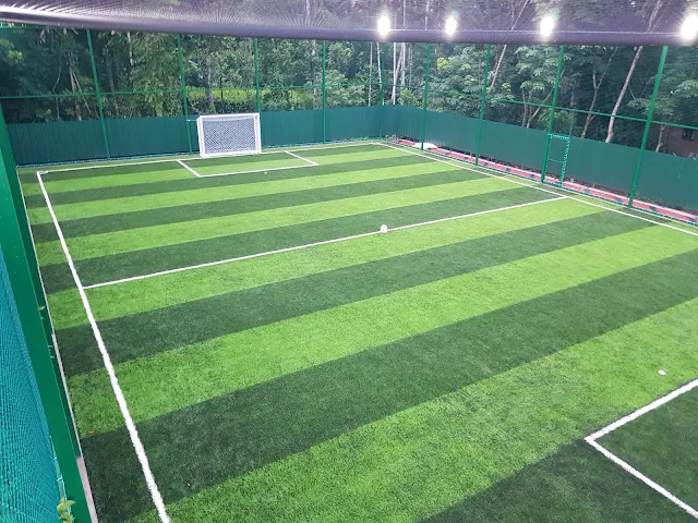 Turf photo 3