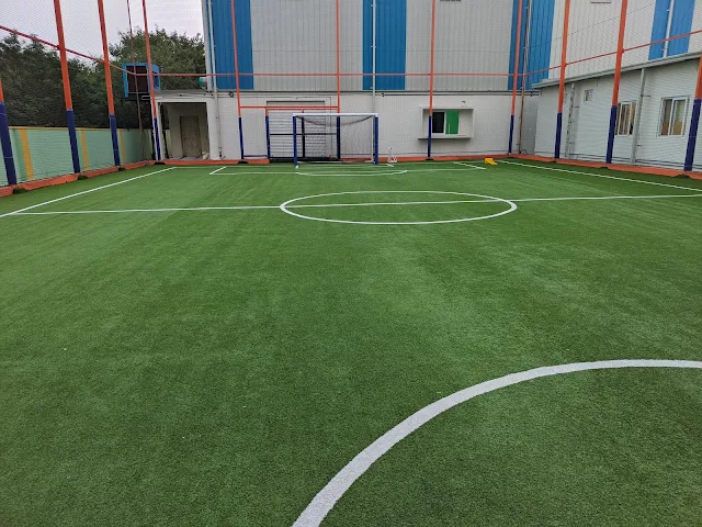 Turf photo 2