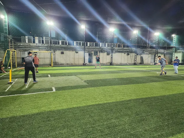 Turf photo 2