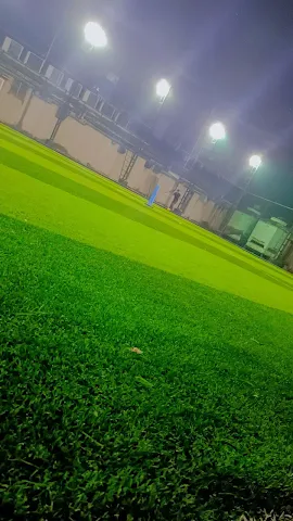 Turf photo 5