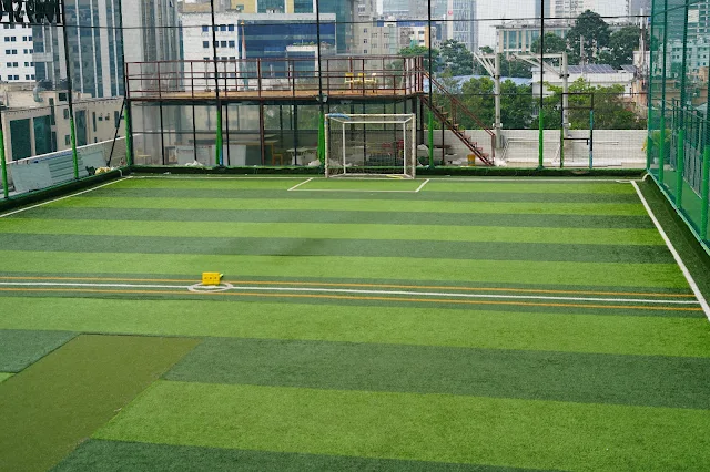 Turf photo 5