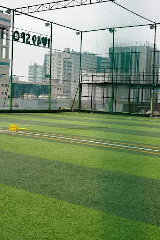 Turf photo 4