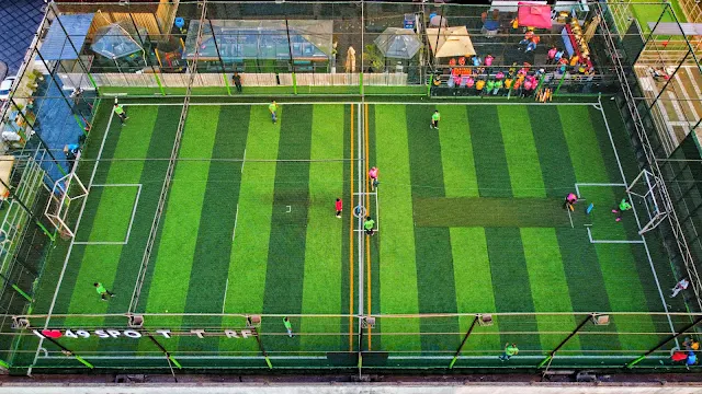 Turf photo 3