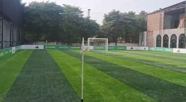 Turf photo 2