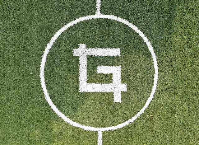 Turf photo 3