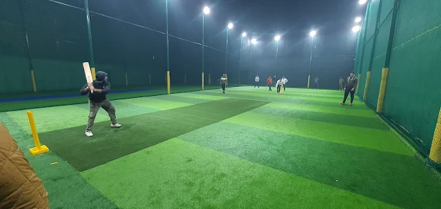 Turf photo 2