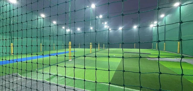 Turf photo 3