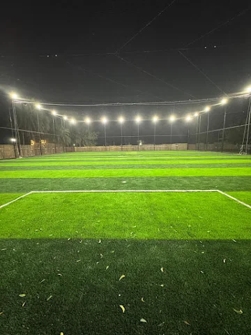 Turf photo 3