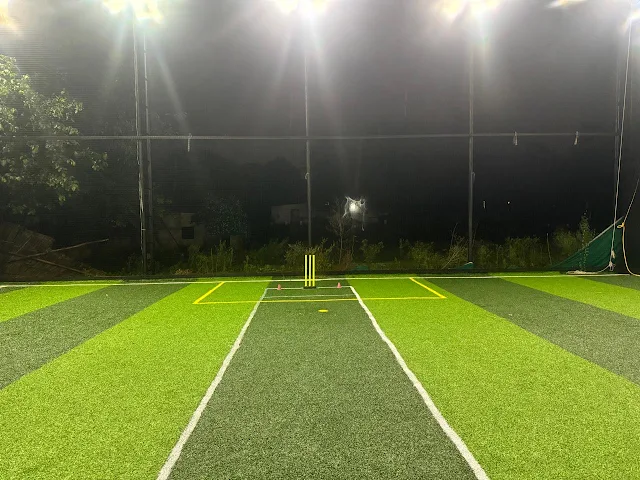 Turf photo 5