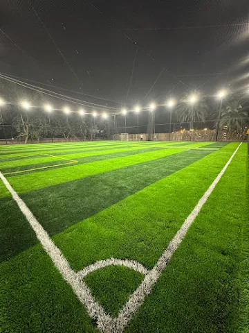 Turf photo 2