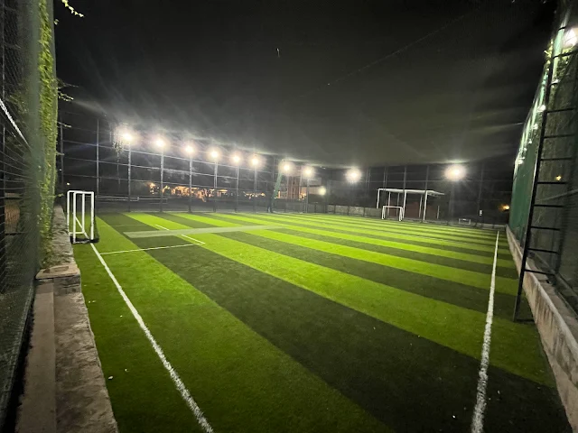 Turf photo 3