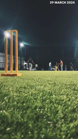 Turf photo 2