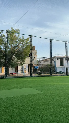 Turf photo 3