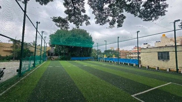 Turf main photo